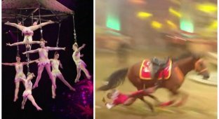 Смертельный номер: несчастные случаи и трагедии в цирке (1 фото + 10 видео)