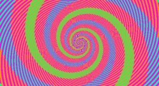 Цветовые иллюзии, обманывающие наш мозг (18 фото)