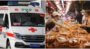 Another dangerous virus has been recorded in Hong Kong (2 photos)