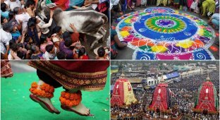 Праздник Ратха-ятра в Индии (16 фото)