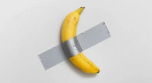 A banana glued to the wall was bought for several million dollars (2 photos + 1 video)