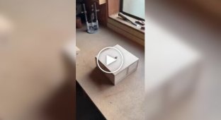 Interesting plywood system