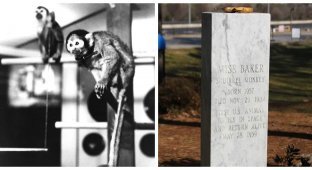 The grave of Miss Baker – the famous space traveler (10 photos)
