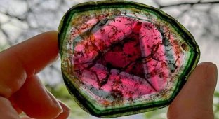 Арбузный турмалин — минерал с плеохроизмом (12 фото)