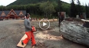 The guy took a chainsaw and created an unusual sculpture from a huge log