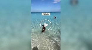 Очікування та реальність: острів свиней на Багамах