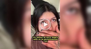 Фермер исполнил странное желание незнакомки