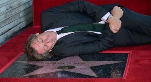 В Голливуде на Аллее славы появилась звезда актера Хью Лори (2 фото)