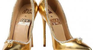 Самые дорогие в мире туфли из позолоченной кожи с бриллиантами и алмазами предлагают за 17 млн долларов (4 фото)