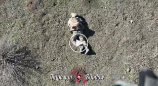 Половина оккупанта исчезла после сбрасывания гранаты с украинского дрона