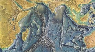 What does the topography of the ocean floor look like (5 photos)