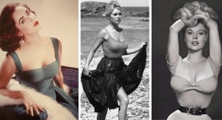 The ideal of female beauty of the sample of the 50s: a visual about the sex symbols of that time (16 photos)