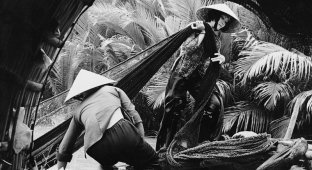 Редкие фотографии Вьетнамской войны (16 фото)