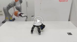 Инженеры сделали роботизированную руку, которая гуляет сама по себе