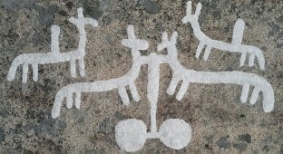Під мохом знайдені петрогліфи віком 2700 років (6 фото)