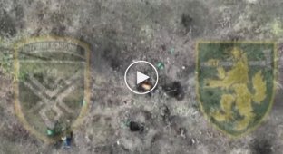 Украинский дрон сбрасывает боеприпасы и гранаты на российских военных в Луганской области