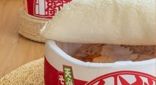 Bed for cats in the form of a package of instant noodles (4 photos)