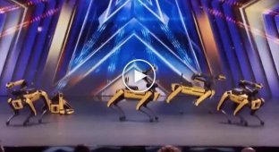 Robops rock: Boston Dynamics at talent show with dance to Dont Stop Me Now