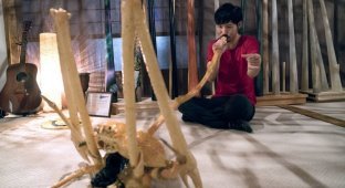 Безумный японец делает музыкальные инструменты из гигантских крабов-пауков (6 фото + 2 видео)