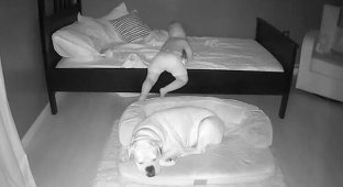 Хлопчик не захотів спати один і став лягати біля свого собаки (4 фото + 1 відео)