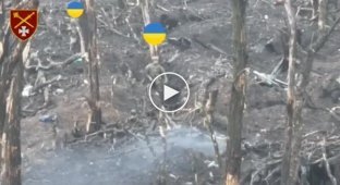 Ukrainian soldiers captured 12 invaders in the Zaporozhye direction