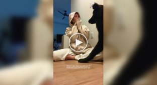 9-месячный щенок удивил всех своими гигантскими размерами