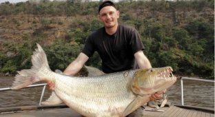 Aquatic Monster from Africa (10 photos)