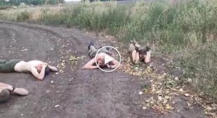 Six occupiers were captured by Ukrainian soldiers in the Kursk region