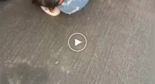 Очередная драка девушек с раздеванием