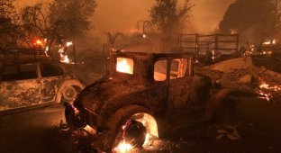 Рай превратился в ад: лесной пожар уничтожил город Парадайс на севере штата Калифорния (13 фото + 4 видео)