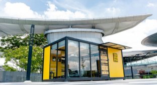 A gym the size of a bus stop is a unique solution in Singapore (7 photos)