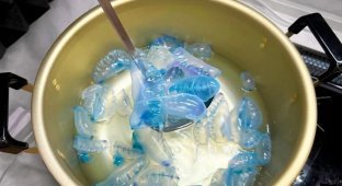 Ютубер відловив і з'їв смертоносну медузу заради лайків (3 фото + 1 відео)