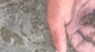 Британець дивом залишився живим після зйомки на пляжі (4 фото + 1 відео)