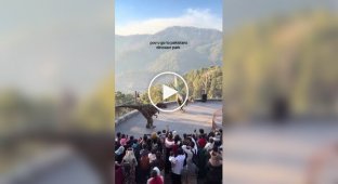 В Пакистане динозавры танцуют национальные танцы