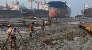 Кладбище кораблей: последняя пристань гигантов (6 фото)