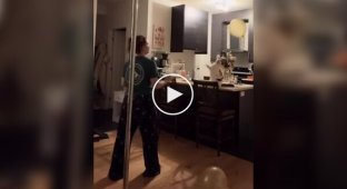 Дівчина зіграла у волейбол зі своєю кішкою