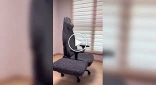 Лучшее компьютерное кресло для коштников