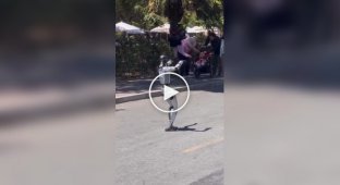 В Японии роботы начали атаковать людей своими танцами