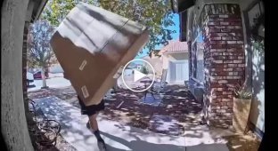 В США телевизор за $1000 разбился после неудачной доставки