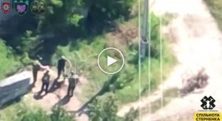 Arrival of a Ukrainian FPV drone by a Russian mortar crew on the left bank of the Kherson region