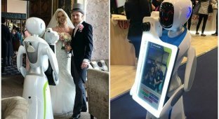 Роботы готовы подвинуть свадебных фотографов (5 фото + 1 видео)
