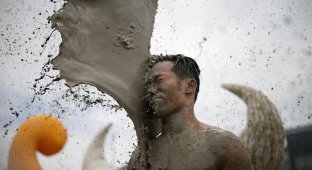 Корейская народная забава - купание в грязи (12 фото)