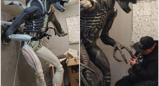 Like a real one: the guy made a cool xenomorph from "Aliens" (13 photos)