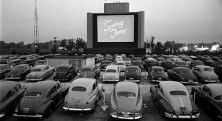 История американских автомобильных кинотеатров (21 фото)