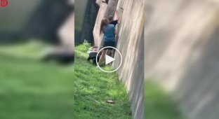 13-летний мальчик перелез в вольер зоопарка и устроил погоню за птицами
