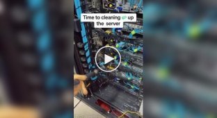 How to properly clean servers