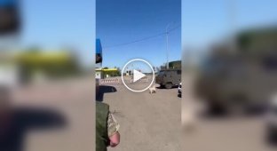 A Ukrainian FPV drone destroyed a Russian armored vehicle of the URAL military-industrial complex in the Belgorod region