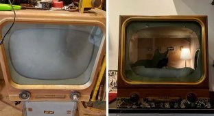 A craftsman turns old equipment into cat beds (33 photos)