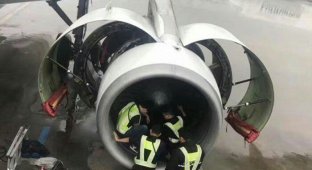 В Китае пожилая пассажирка набросала монет в турбину самолета (3 фото)