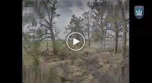 Оккупанта разорвало на куски от удара дрона Птахів Мадяра
